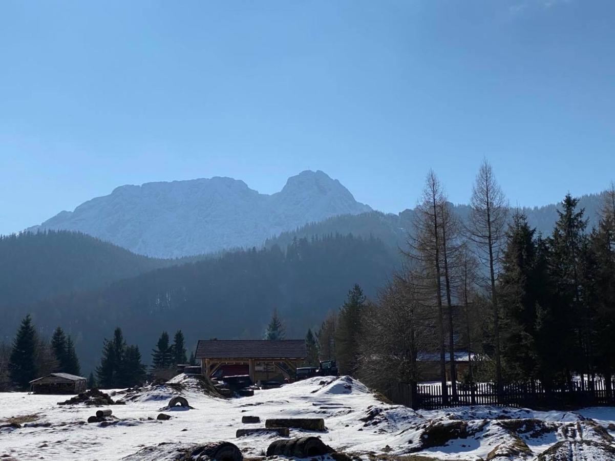 Apartament Mysliwski Zakopane Buitenkant foto